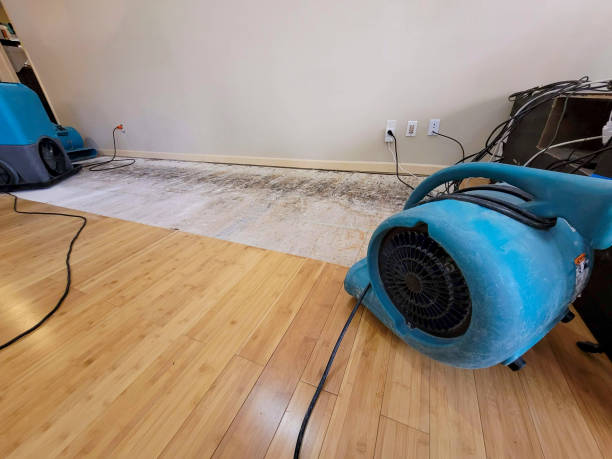 Professional Sewage Cleanup technician working in Farmington, MS